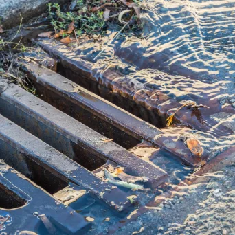 A stormwater drainage grate after clearing